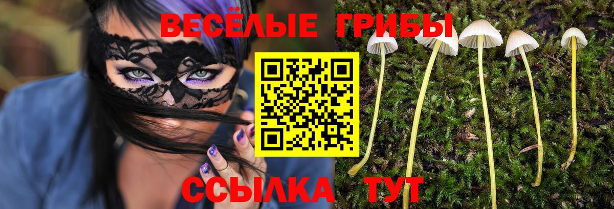 Галлюциногенные грибы Psilocybine cubensis Люберцы
